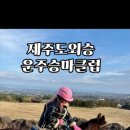운주승마클럽 이미지