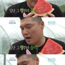 달빛향 이미지