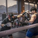 뻔치복싱클럽 이미지