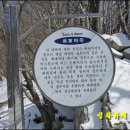 인터넷짱 이미지