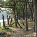 송정솔바람해변 주차장 이미지