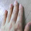 (주)죠이라이프 이미지