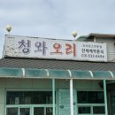 청와오리 이미지