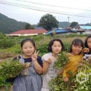 종곡초등학교 이미지