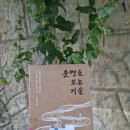 대운정밀설계 | 운명을 보는 기술 역술가 박성준이 알려주는 사주 관상 풍수의 모든 것