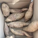 아이와농장 이미지