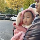 유원2차아파트 | [육아기] 아기 240일 ~ 272일 / 8개월 몰아보기 RSV접종, 첫 아빠, 아쿠아리움, 후기이유식