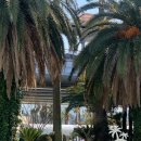 평대연가 | 2023.02.27~03.01 제주도