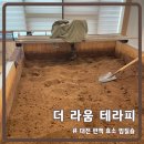 효소테라피 | 대전 편백효소 찜질 더 라움 테라피 내돈내산 솔직 후기