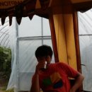 덕이네농장 이미지