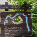 산골에꿈영농조합법인 | 홍천 여행/홍천 가볼만한곳) 수타사 with 작약꽃&amp;불두화