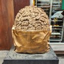 다이소부산지사동점 | 23.4月(Ⅱ)_대전 외근, 성심당 본점, 집들이, 가족들과 좋은 시간