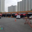 청양약초구기자시장 이미지