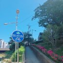 온천천공원길 74(온천천자전거대여소) 네이버블로그