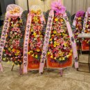 조앤조연합치과의원 이미지