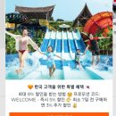 베트남 나트랑 빈원더스 알파인코스터 탑승 후기