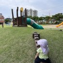 세화초등학교 병설유치원 이미지