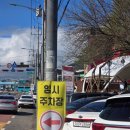 창녕 연지못 수양벚꽃 후기, 창원 북부리 팽나무 벚꽃 드라이브 코스