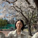 수민체육관 | But 꽃이 피고 지듯이