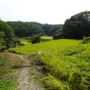 원주굽이길 2코스 700년노송길 이미지