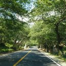 지리산터널펜션 이미지