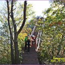 곡성-060 이미지