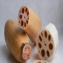 사상 체질과 약선 이미지