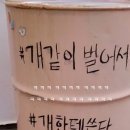 송도 아이본 동물의료센터 이미지