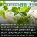 100세의료기 이미지