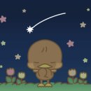 수영장민박 이미지