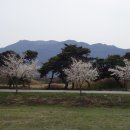 모량초등학교 이미지