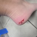 장림체육관 이미지