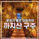 11215-구의2-077-1 | 까치산 구주_분위기 좋은 이자카야 솔직후기