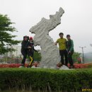 완도 예송리 상록수림 이미지