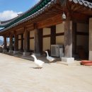 리멤버파크 이미지
