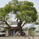 야촌주유소 이미지