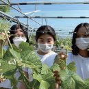 한국미래농업고등학교 이미지