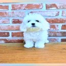 관악구가족행복센터 이미지