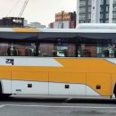 신흥여객 이미지