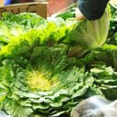 조은세상영농조합법인 이미지