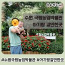 국립농업박물관 | 수원 아기랑 갈만한곳 국립농업박물관 방문후기