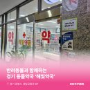 해빛약국 이미지