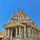 중부건기 이미지