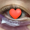 꼬불꼬불1,5,3 | 미용 | 코스노리 이지 아이래쉬 펌 키트 속눈썹펌 추천 후기 지속력 (내돈내산)