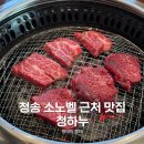 청송프라자 | 청송 소노벨 근처 맛집 청하누 단독룸 예약 후기