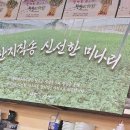 싱그러운청도로(봄) 이미지