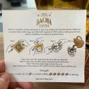 잠실농장 | 집들이 선물 추천 바샤커피 밀라노 모닝 내돈내산 후기(바샤커피 롯데에비뉴엘 잠실점)