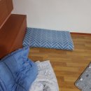 김밥천국영천점 이미지