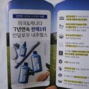 스텝셀 이미지