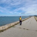 장고항2리 이미지